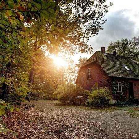 Forsthaus - Gut Thansen Soderstorf Esterno foto