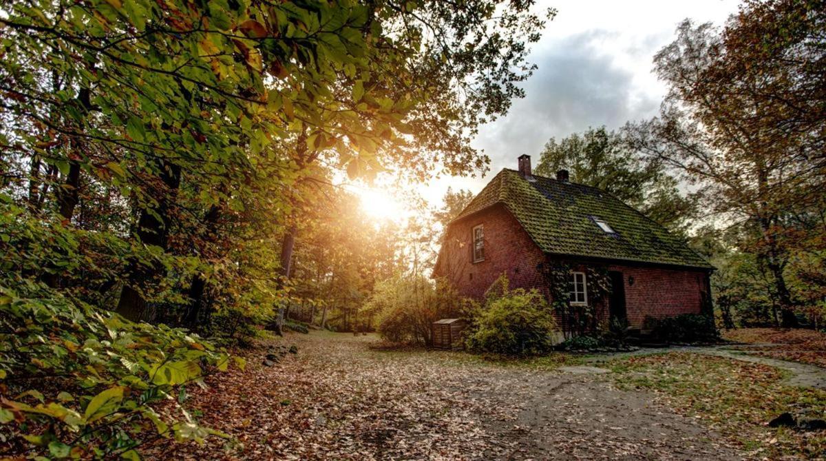 Forsthaus - Gut Thansen Soderstorf Esterno foto